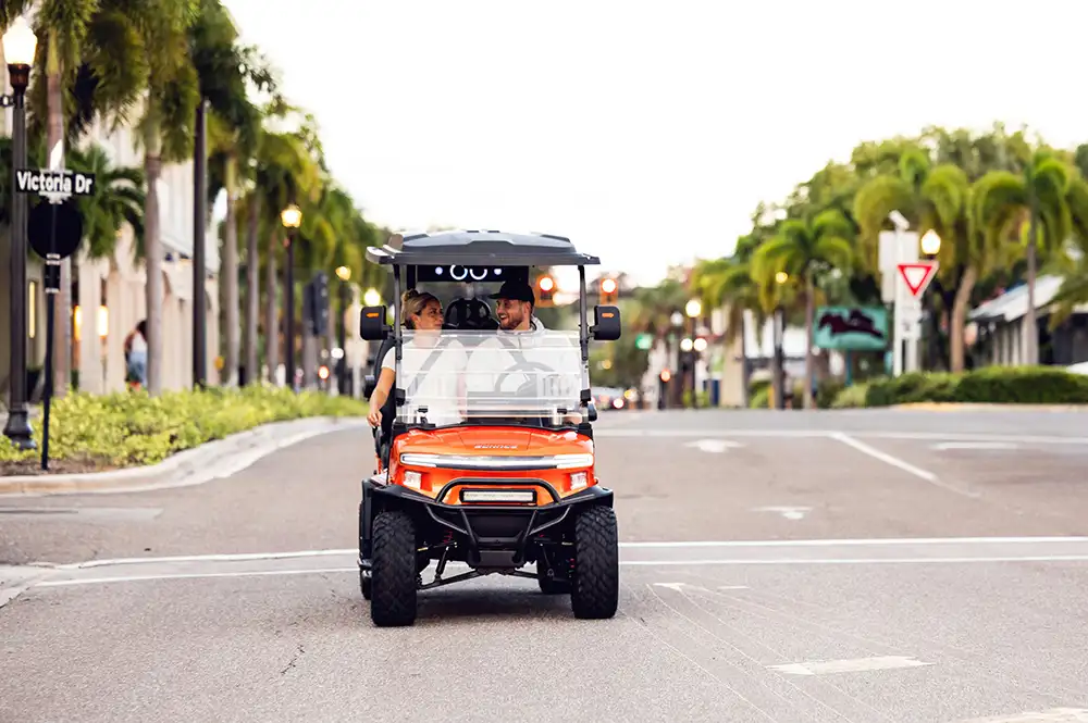 Denago cart