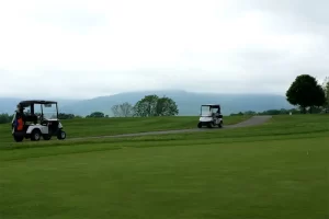 golf cart repair