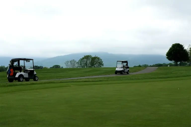 golf cart repair