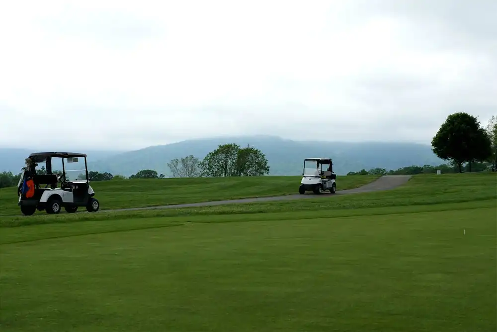 golf cart repair